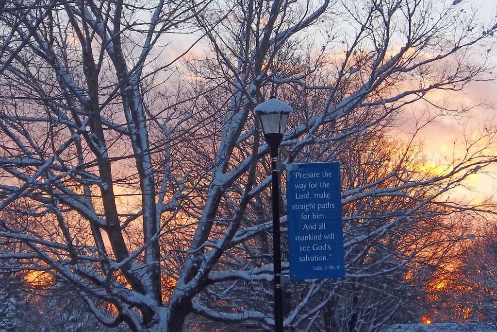 winter banner