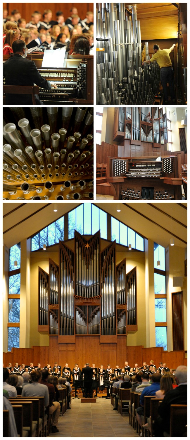 Organ Collage