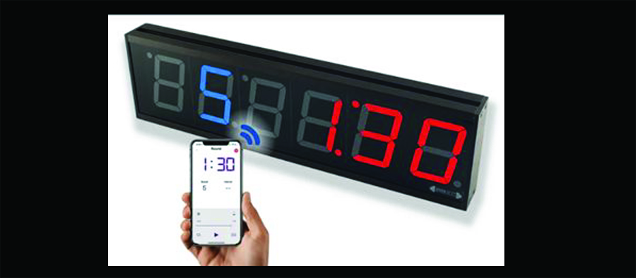 2025 Auxiliary Project Report.pptx