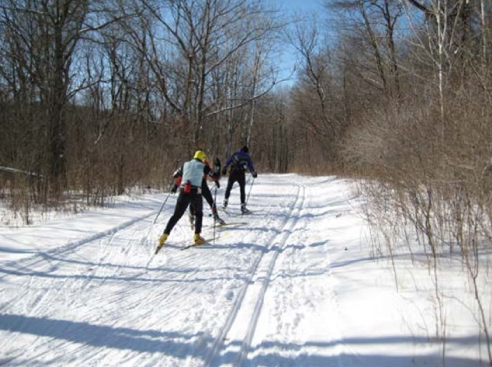 XCountry Skis