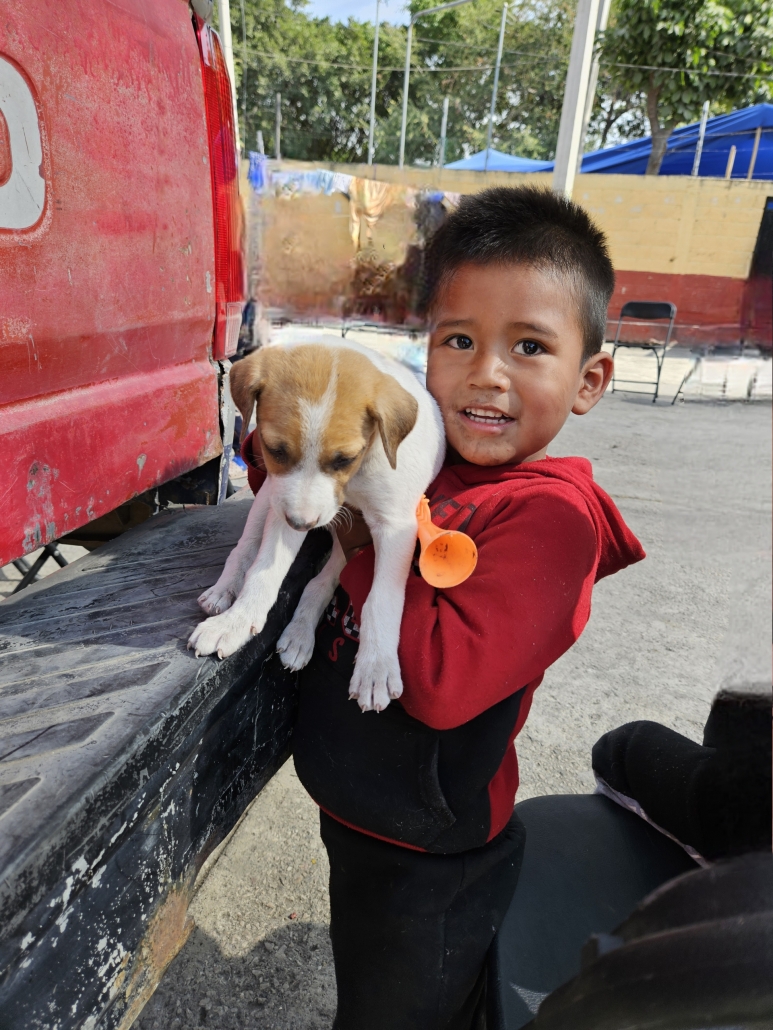 Small boy with a puppy