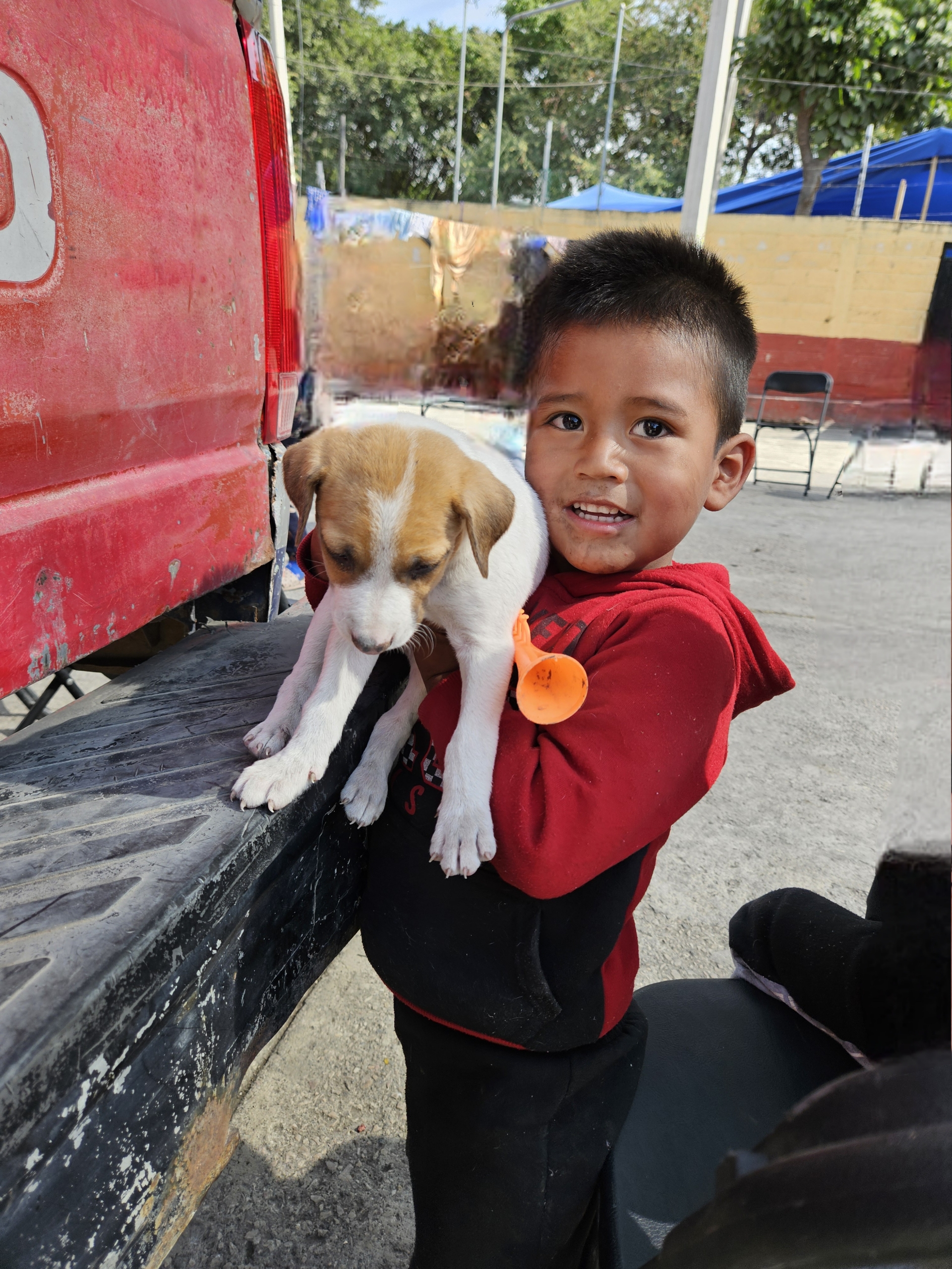 Small boy with a puppy